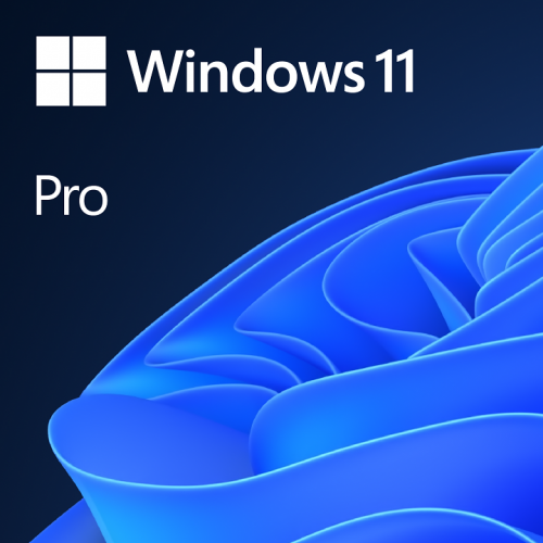 MICROSOFT WINDOWS 11 Pro 64Bit Eng Intl 1pk DSP OEI DVD