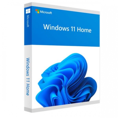 WINDOWS HOME 11 32/64BIT ESP USB