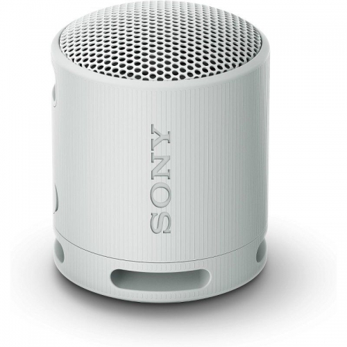  COLUNA SONY PORTÁTIL CINZA - SRSXB100H 