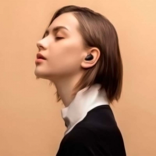 Xiaomi Mi True Wireless Earbuds Basic 2